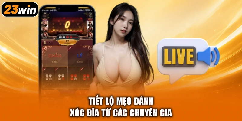 Tiết lộ mẹo đánh xóc đĩa từ các chuyên gia